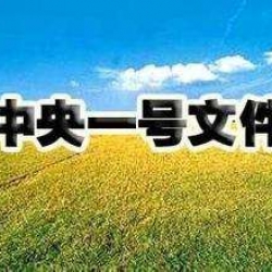 锡文系列讲座之二|农村土地制度改革问题